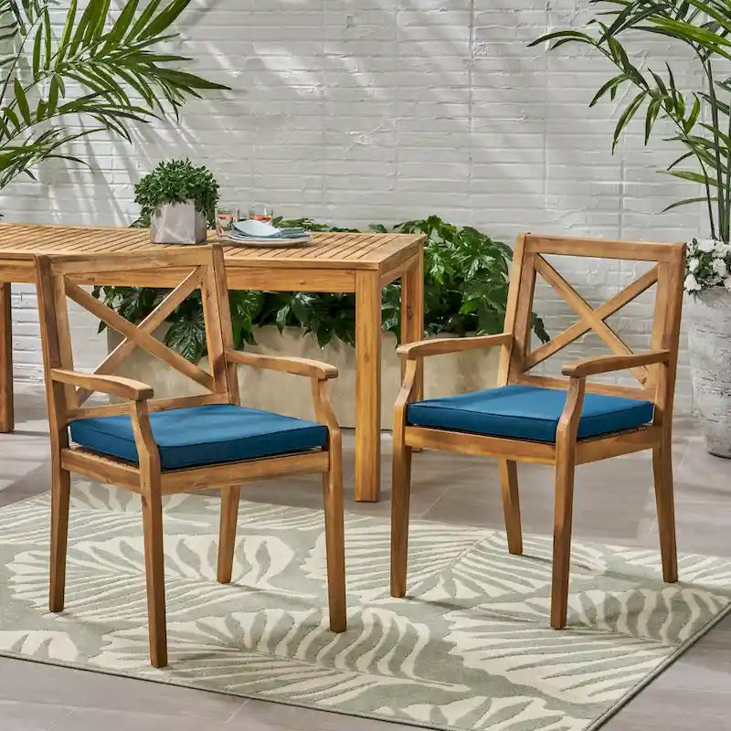 Set of 2 Dining Chairs with 2 Cushions